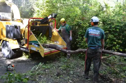 tree services Ripon